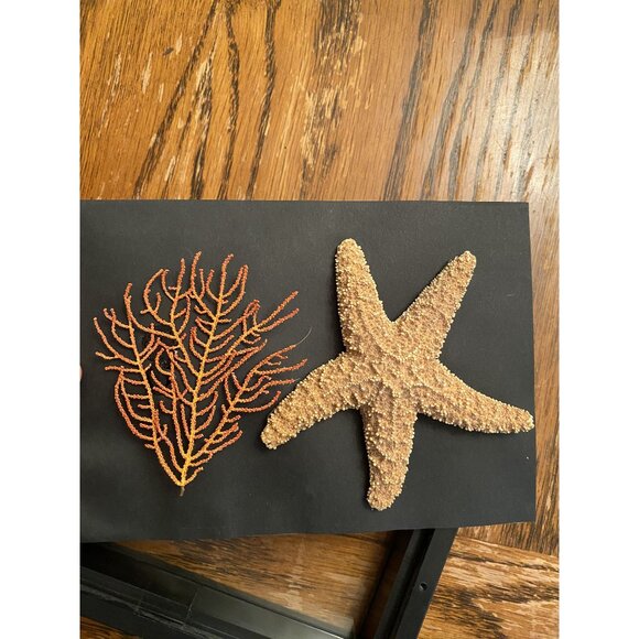 Framed Starfish & Coral Display Wall Art Decor - Picture 1 of 6